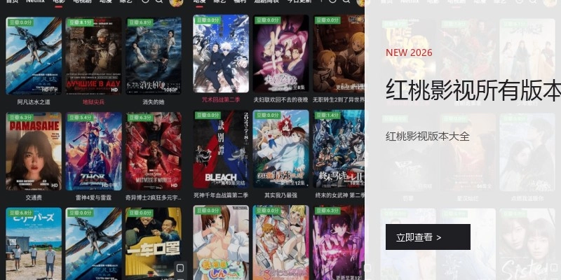 红桃影视所有版本