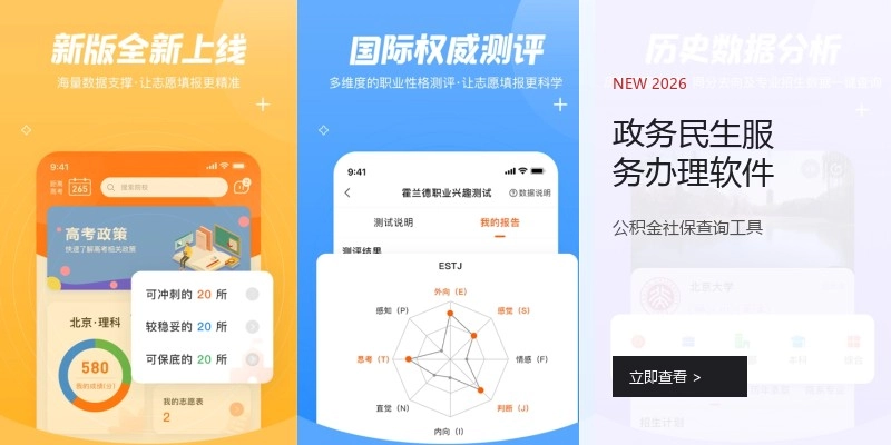 政务民生服务办理软件