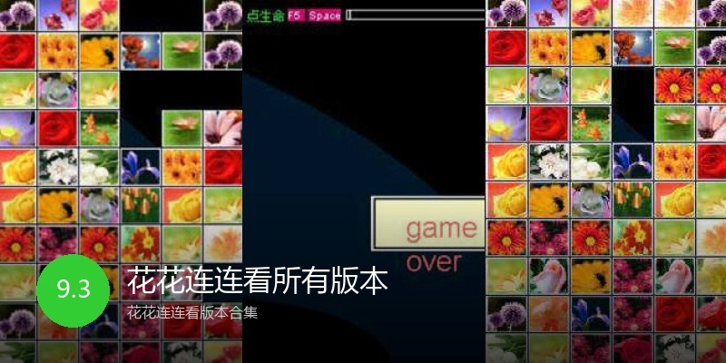 花花连连看所有版本