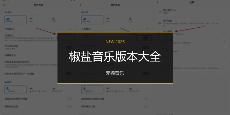 椒盐音乐版本大全