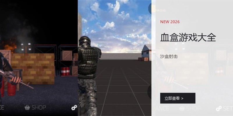 血盒游戏大全