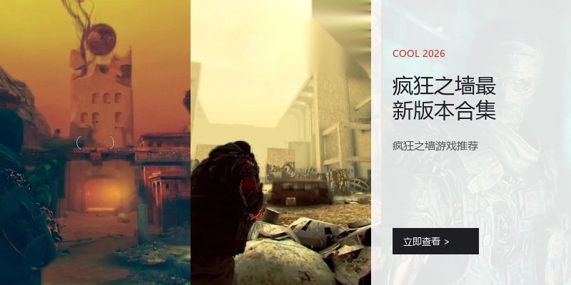 疯狂之墙最新版本合集