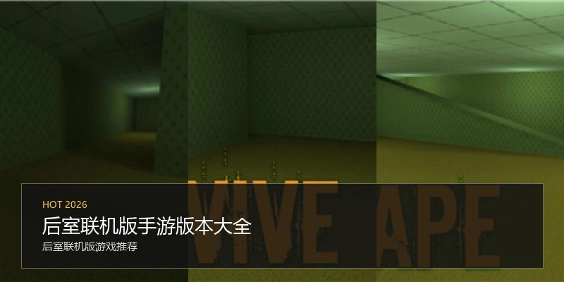 后室联机版手游版本大全
