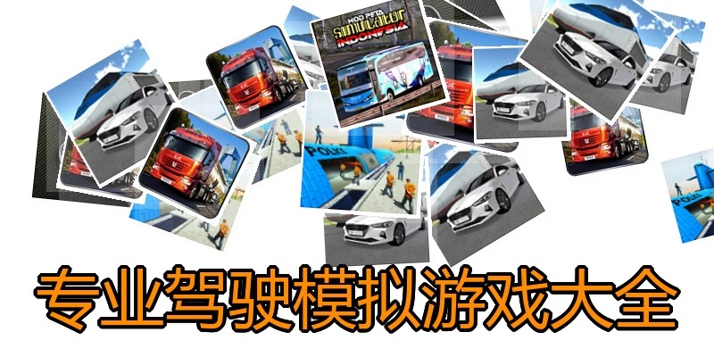 专业驾驶模拟游戏大全