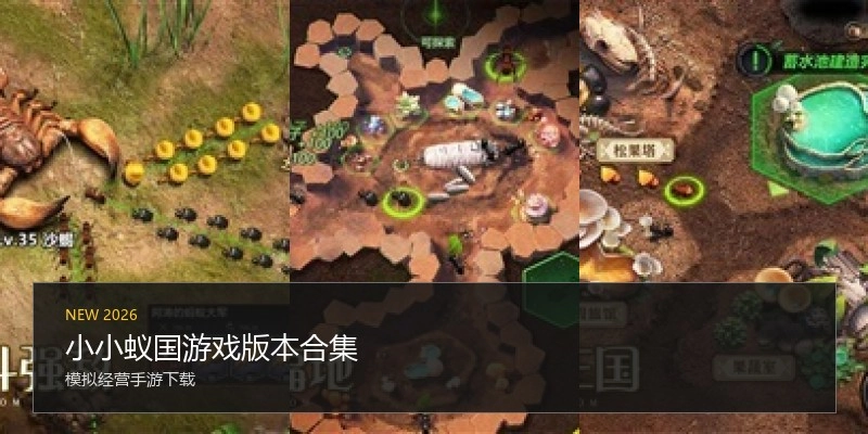 小小蚁国游戏版本合集