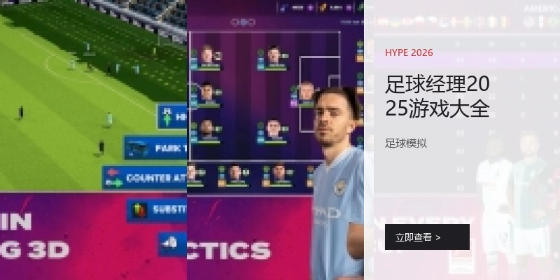 足球经理2025游戏大全