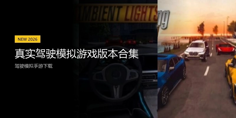 真实驾驶模拟游戏版本合集