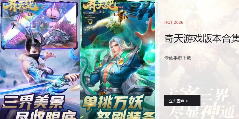 奇天游戏版本合集
