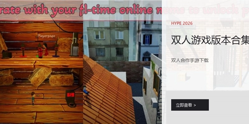 双人游戏版本合集
