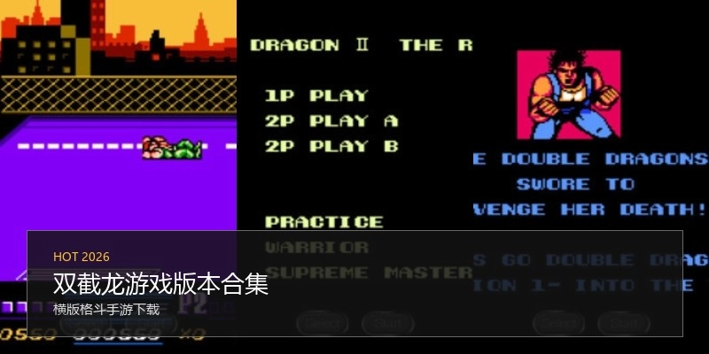 双截龙游戏版本合集