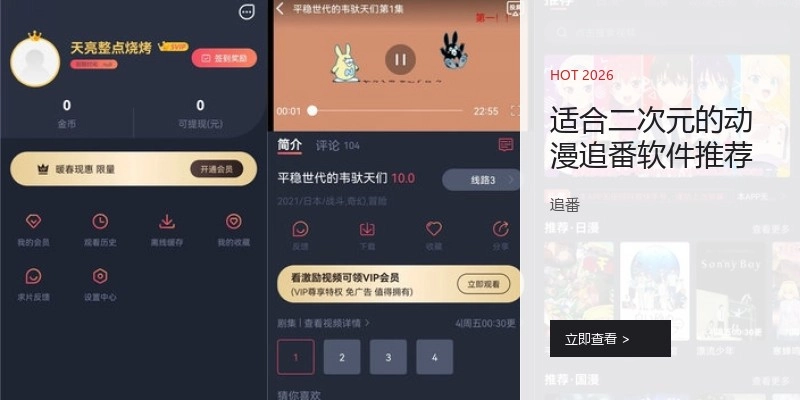 适合二次元的动漫追番软件推荐