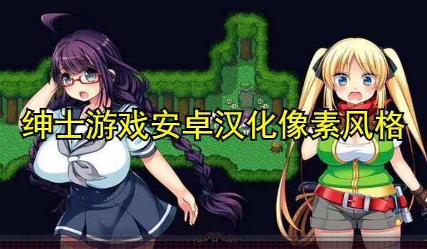 绅士游戏安卓汉化像素风格手游大全