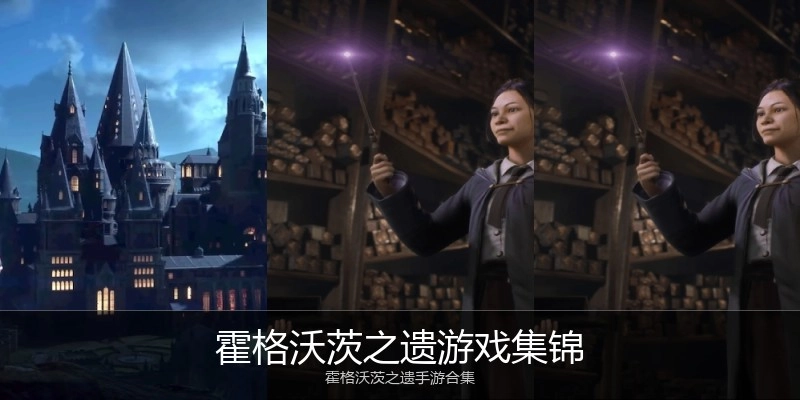 霍格沃茨之遗游戏集锦