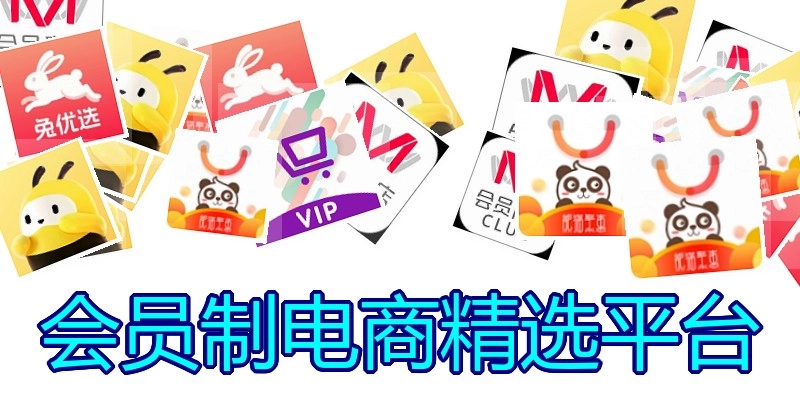 会员制电商精选平台