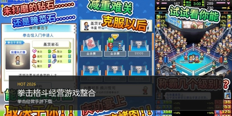 拳击格斗经营游戏整合