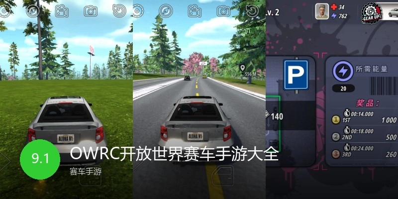 OWRC开放世界赛车手游大全