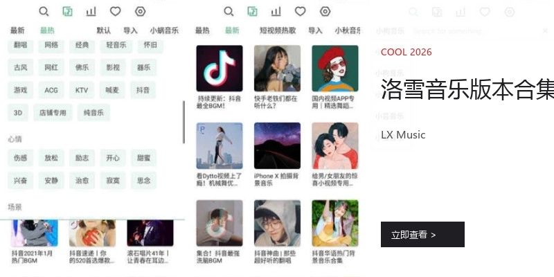 洛雪音乐版本合集