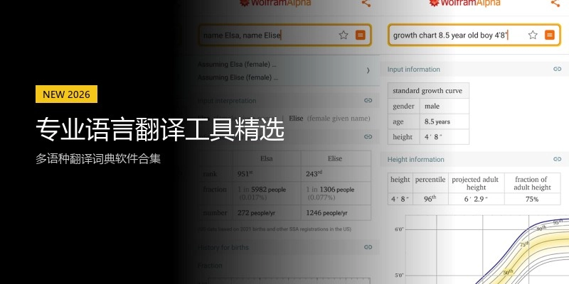 专业语言翻译工具精选