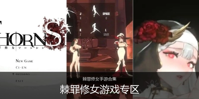 棘罪修女游戏专区