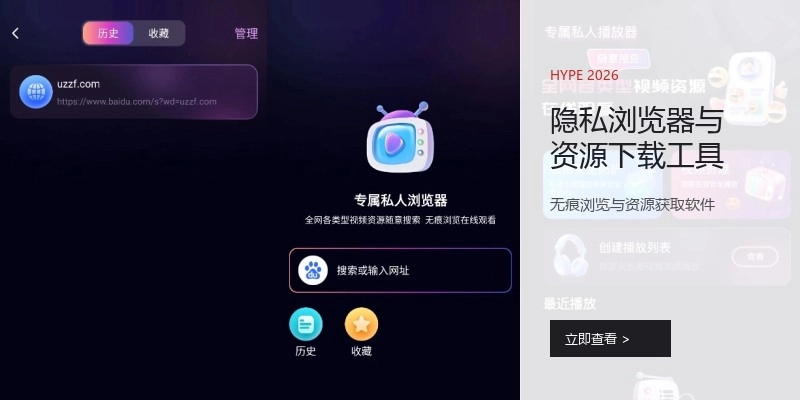 隐私浏览器与资源下载工具