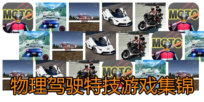 物理驾驶特技游戏集锦