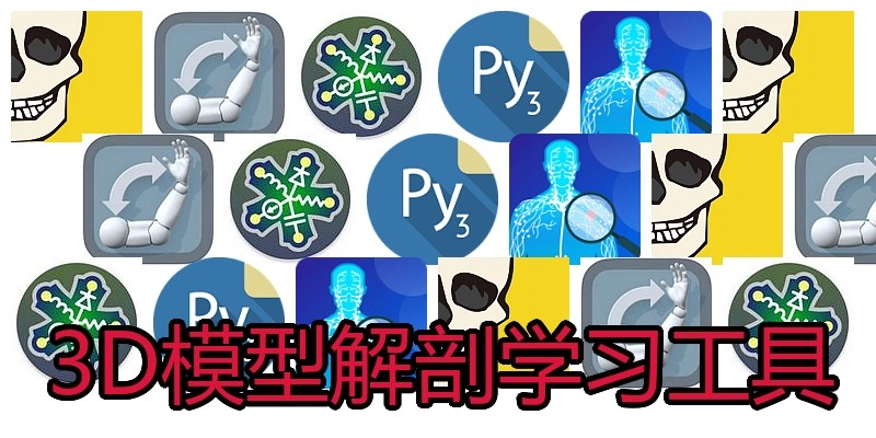 3D模型解剖学习工具