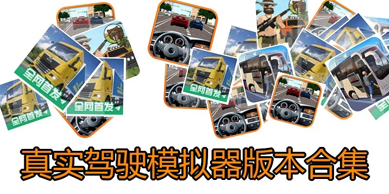 真实驾驶模拟器版本合集