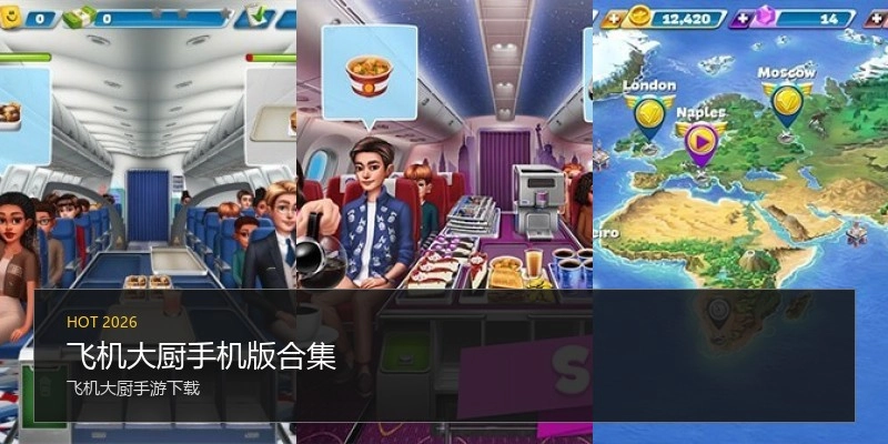 飞机大厨手机版合集