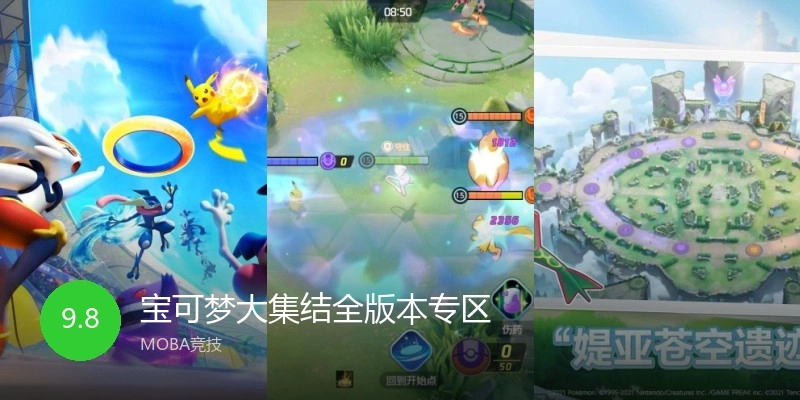 宝可梦大集结全版本专区