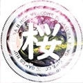 樱之空动漫
