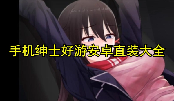 手机绅士好游安卓直装大全