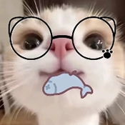 主题仓Pro