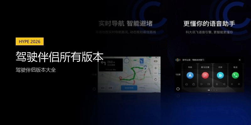 驾驶伴侣所有版本