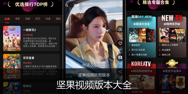 坚果视频版本大全