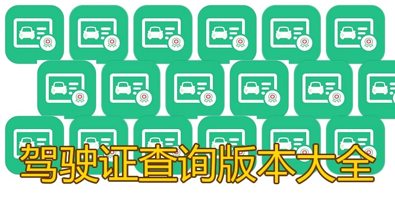 驾驶证查询版本大全