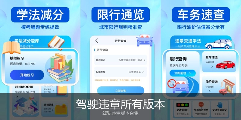 驾驶违章所有版本