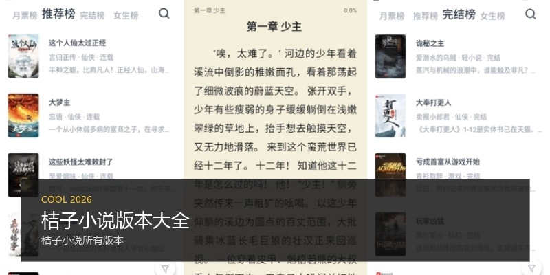 桔子小说版本大全