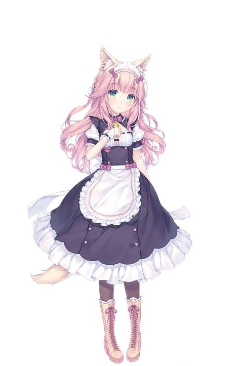 猫娘乐园3冷狐版最新版本
