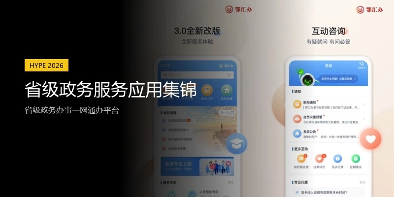 省级政务服务应用集锦