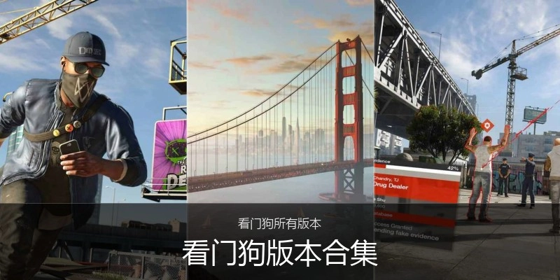 看门狗版本合集