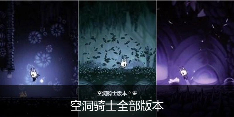 空洞骑士全部版本
