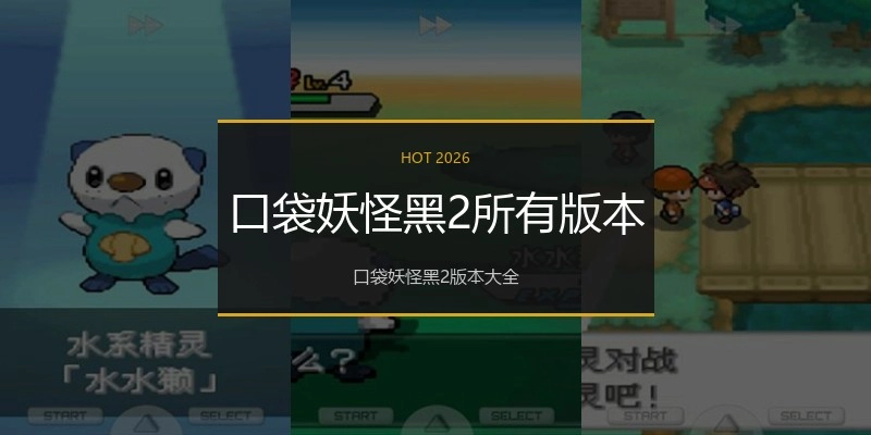 口袋妖怪黑2所有版本