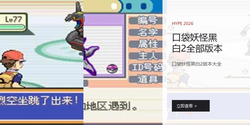 口袋妖怪黑白2全部版本