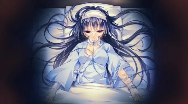真爱百合