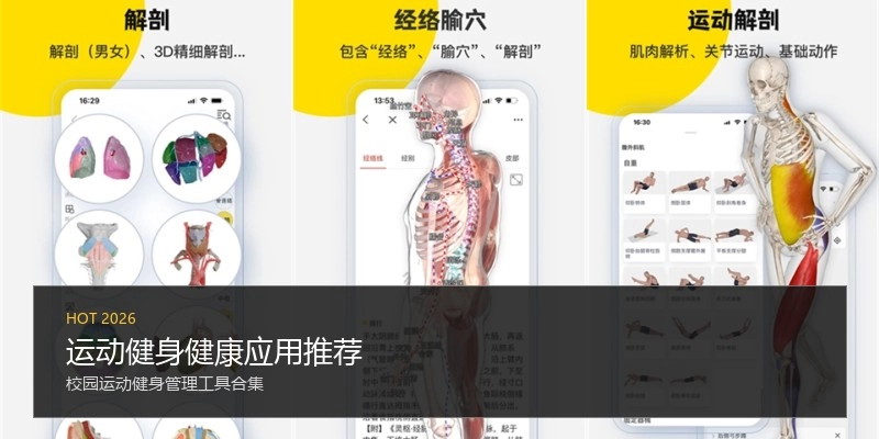 运动健身健康应用推荐