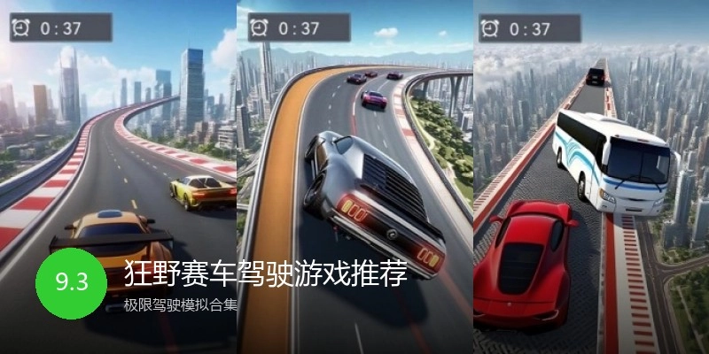 狂野赛车驾驶游戏推荐