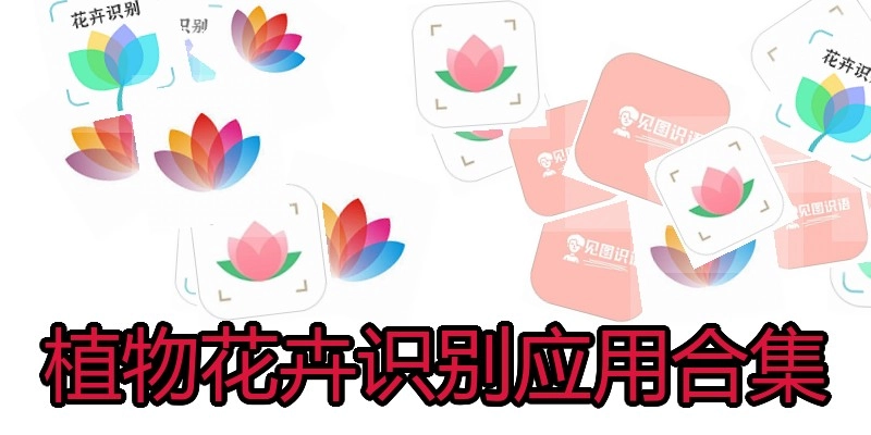 植物花卉识别应用合集