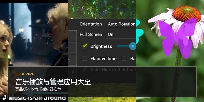 音乐播放与管理应用大全
