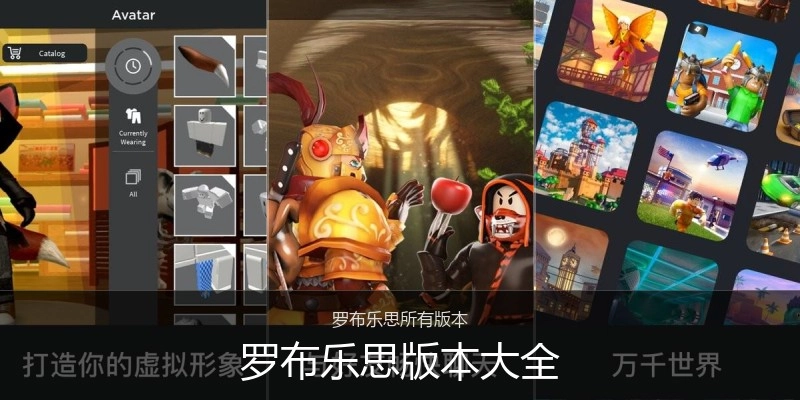 罗布乐思版本大全