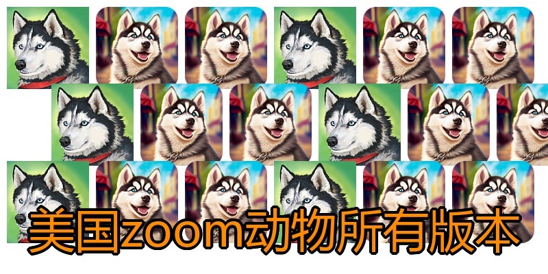 美国zoom动物所有版本